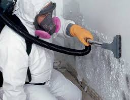 Best HVAC Mold Inspection and Cleaning  in Syracuse, NY